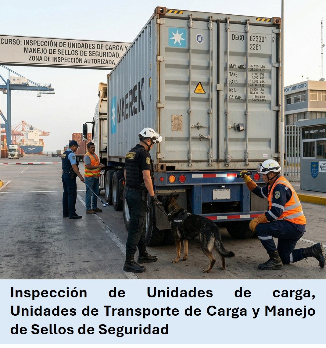 Inspección